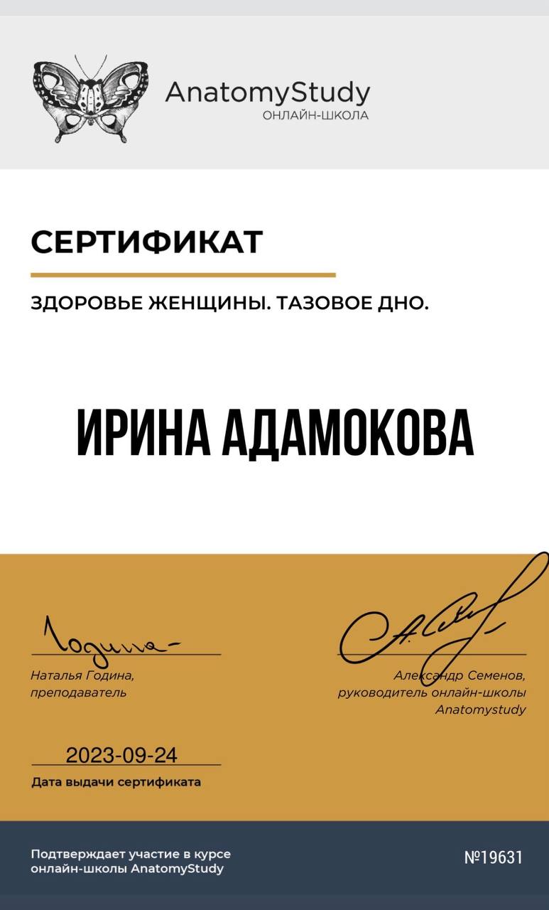 AnatomyStudy Тазовое дно 2023